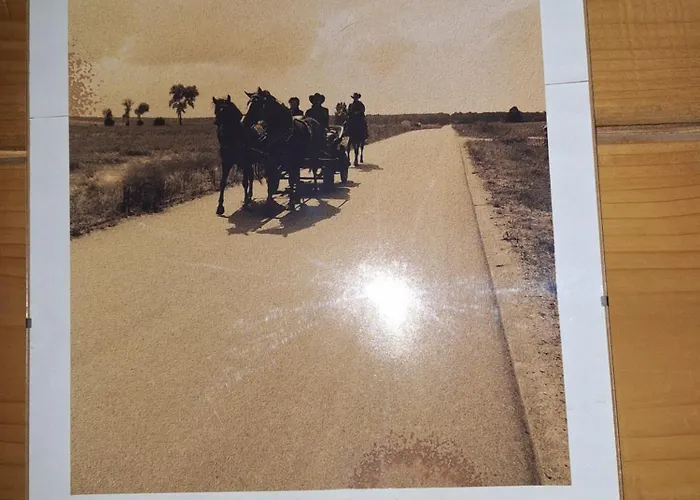 ゲストハウス Dudek 3*