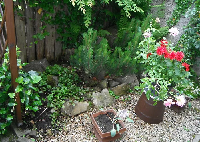 Dudek 3* クリニツァ・ズドルイ